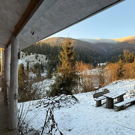 Domik V Gorakh 度假居 Bukovets
